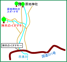 神木のイヌマキ　マップ
