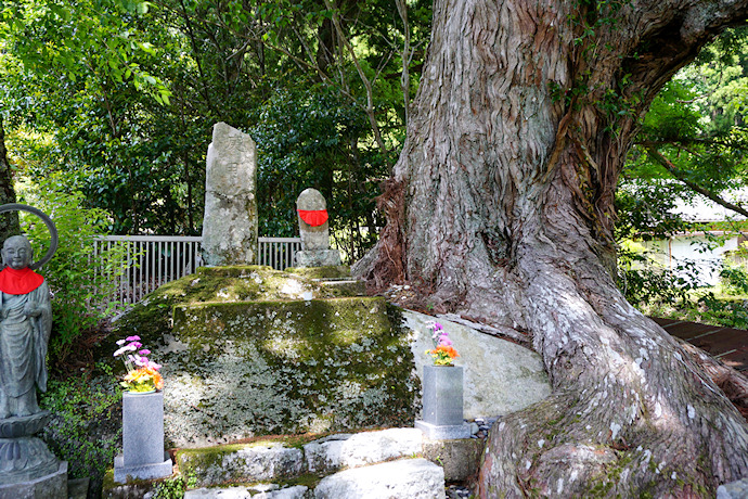 庚申神社のスギ