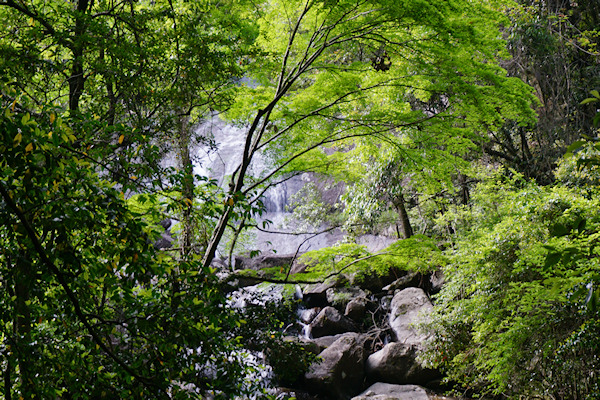 大馬神社　静滝