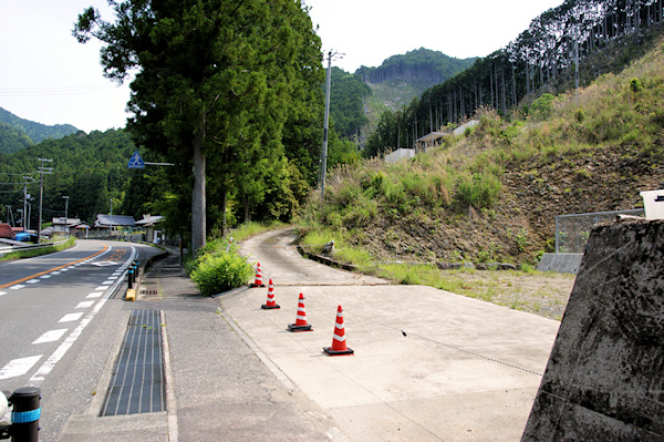 大又のカツラへの道