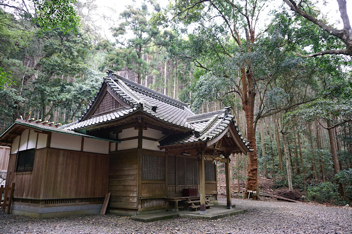 豊浦神社社殿とバクチノキ