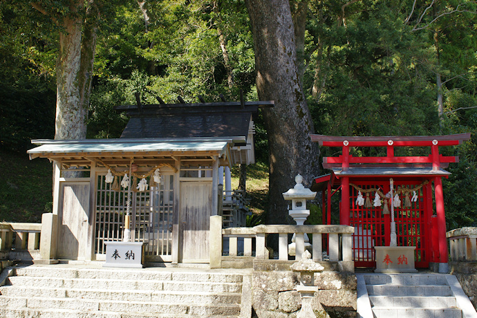 烏止野神社社殿とクスノキ