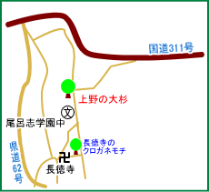 上野の大杉マップ