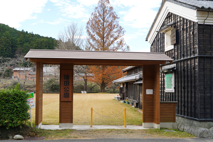 油田公園とメタセコイア