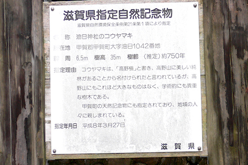 滋賀県指定自然記念物