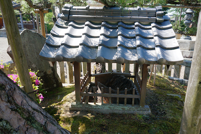 福田寺の蓮如松