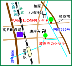 八幡神社の野神ケヤキ・マップ