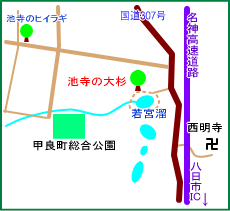 池寺の大杉マップ