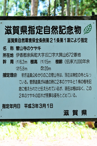 滋賀県指定自然記念物標識