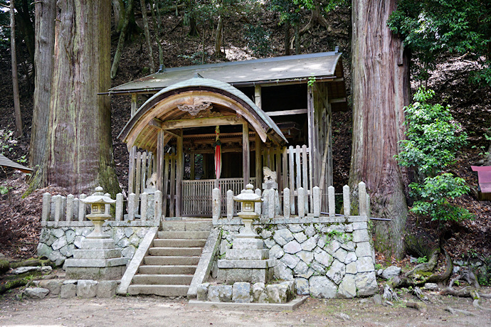 琴平神社の二本杉