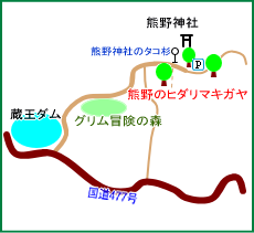 熊野のヒダリマキガヤ・マップ