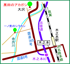 黒田のアカガシ　マップ