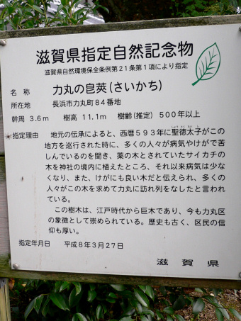 滋賀県指定自然記念物説明板