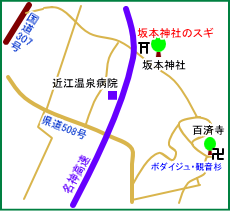 坂本神社マップ