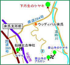 下丹生のケヤキ　マップ