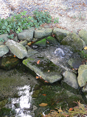 勝居神社の泉