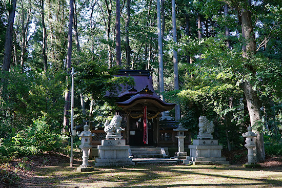 若宮八幡神社拝殿