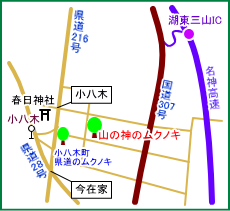 山の神のムクノキ マップ
