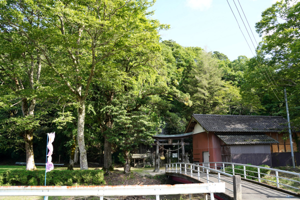 雨引神社の社叢