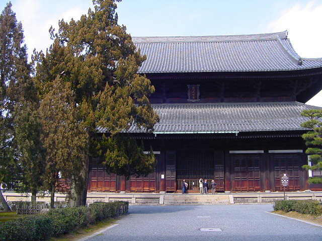 東福寺の本堂とイブキ