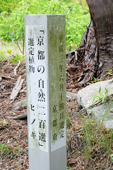 京都の自然200選