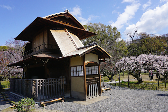 傍花閣と枝垂れ桜