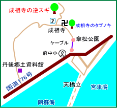 成相寺の逆スギ・マップ