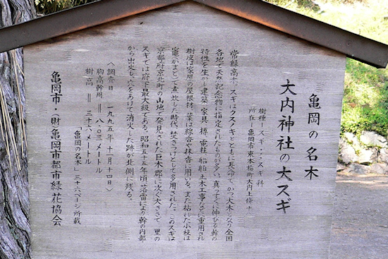 亀岡の名木　説明板
