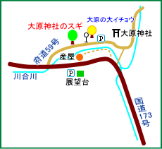 大原神社のスギ・マップ