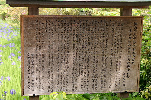大田神社のカキツバタ群落・説明板