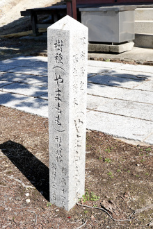堺市の保存樹木標柱