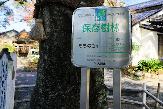 大阪市指定保存樹林標識