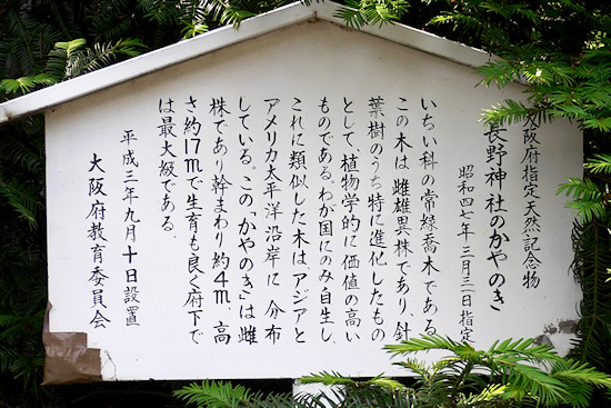長野神社のかやのき説明板