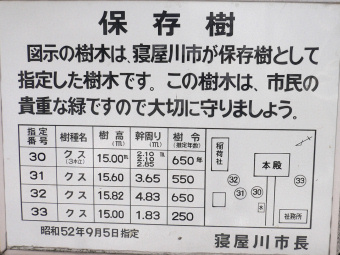八坂神社のクスの木・保存樹説明板