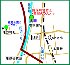 揖保川堤防上・日飼のクスノキ　マップ