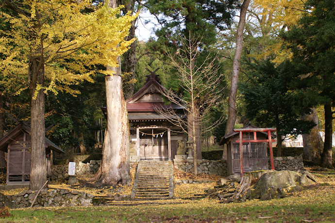一宮神社のケヤキの森