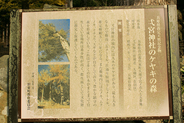 一宮神社のケヤキの森説明板