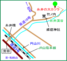 糸井の大カツラ・マップ