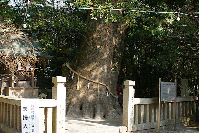 神社 イザナギ イザナギ・イザナミを祀った神社 詳細