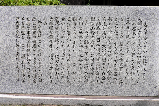 加茂神社のイチョウ治療石碑