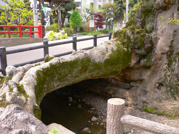 木の根橋