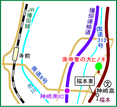 庚申堂の大ヒノキ　マップ