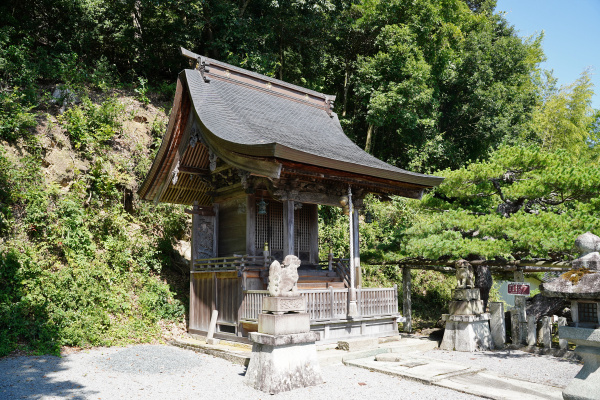 天満神社と五葉松