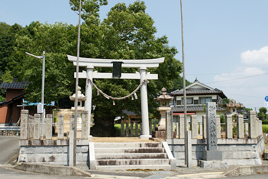 物部八幡神社のケヤキ