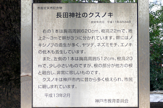 長田神社のクスノキ説明板