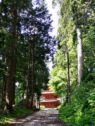 妙見杉と名草神社の三重塔