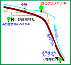小野のアカメヤナギ　マップ