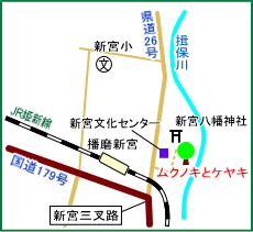 新宮八幡神社マップ