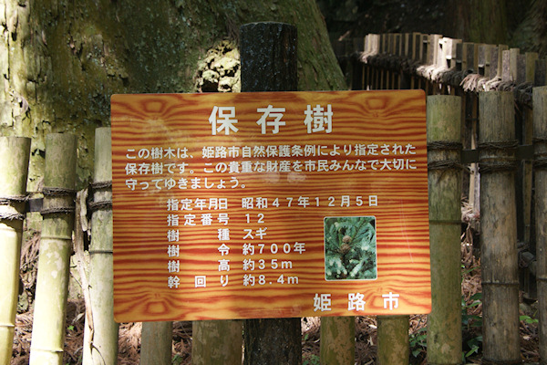 保存樹の説明板