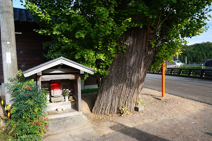 須義神社のイチョウ